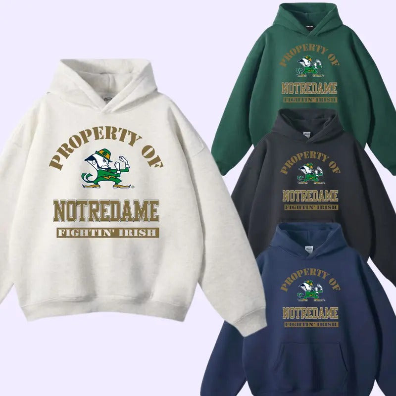 Vintage 90s Notre Dame Graphic Hoodie, Sweatshirt M Men's Blue Collegiate, Gift For Fan