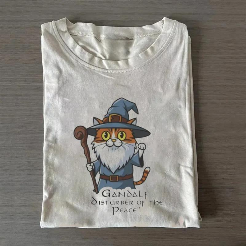 Vintage Gandalf Disturber of The Peace Graphic Tee - The Lord of The Rings Movies Shirt - LOTR Shirt - The Hobbits - Fantasy Rings - Funny LOTR