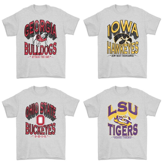 Vintage NCAA All Teams T-Shirt, Gray College Sports Graphic Tee, Game Day Shirt for University Fans, Unisex Football Shirt