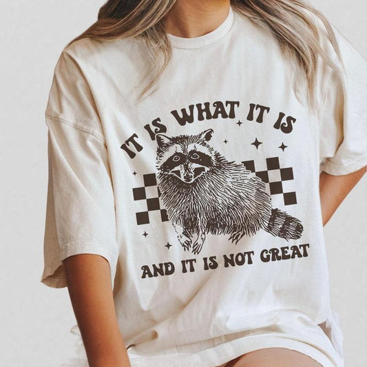 Vintage Raccoon Checkered T-Shirt, It Is What It Is And It Is Not Great Funny Raccoon T-Shirt, Retro Unisex Adult T Shirt, Relaxed Cotton Tees, Raccoon Lover Tee, Street Cats Shirt, Comfort Women Top