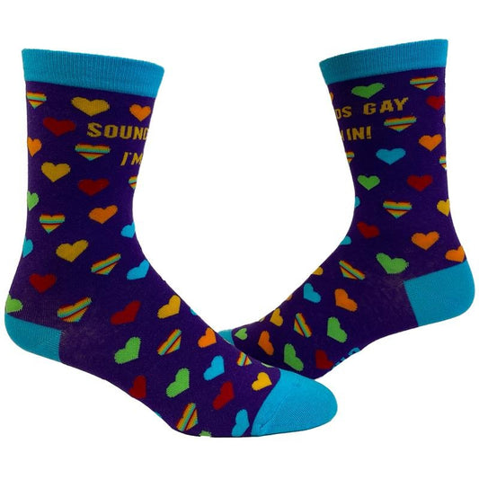 Women's Sounds Gay I'm In Socks Funny LGBTQ Pride Parade Graphic Novelty Footwear Funny Graphic Socks Comfortable Fitted Spandex Cotton