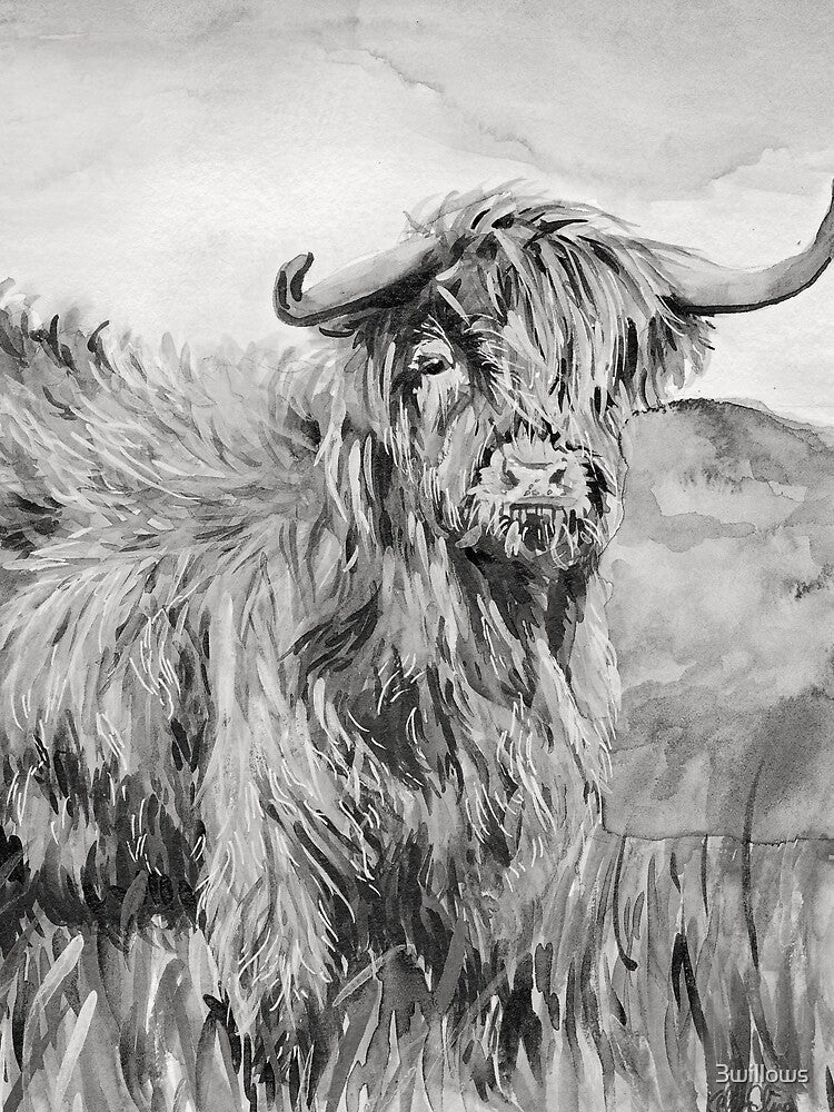 Highland Cow (Black & White) by 3willows