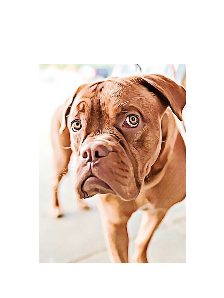 Such Beautiful Eyes by 1blackfinger
