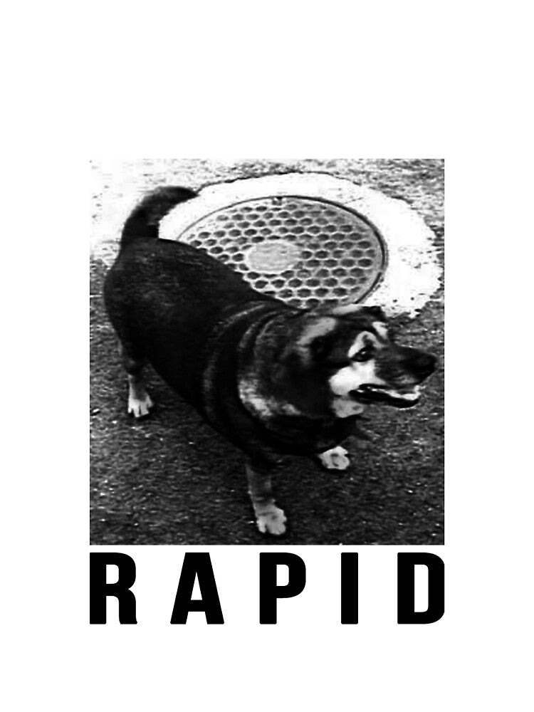 Sacchan is Rapid by nashchaney0508