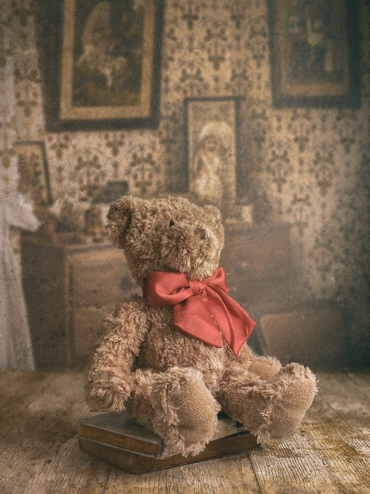 Bear and Books by David Bowman