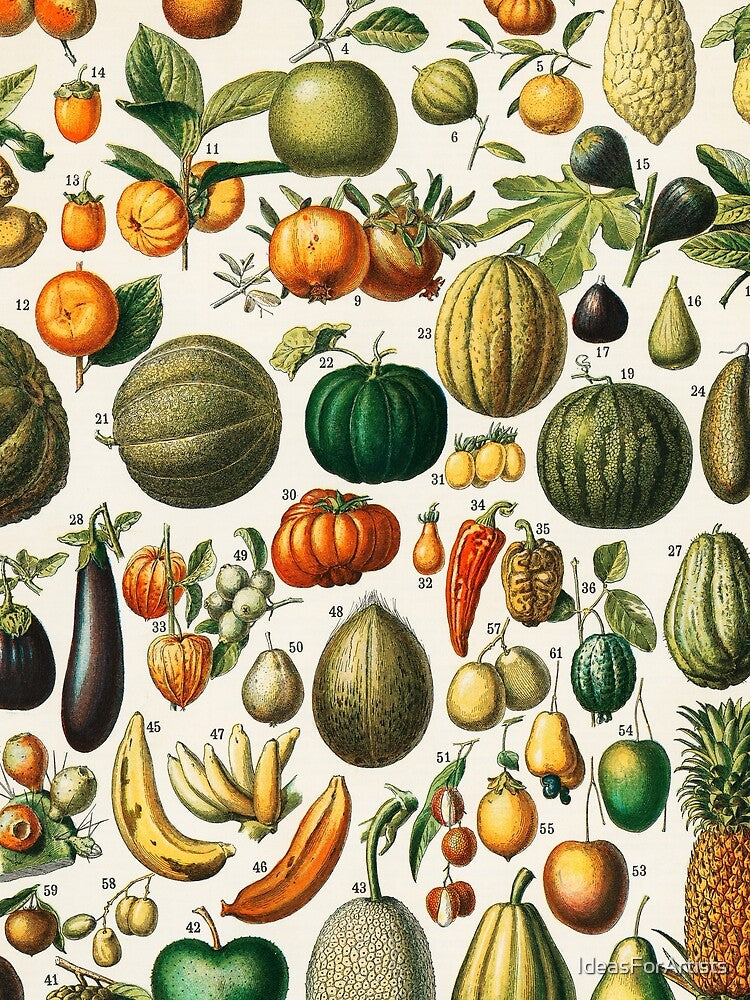 Retro Kitchen fruit and vegetables by Inspirationmotivation