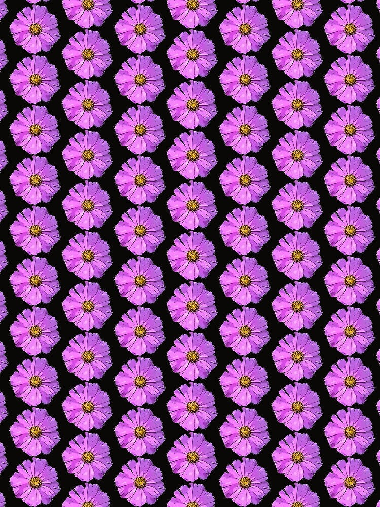 Bright Pink Purple Cosmos by Rammkah