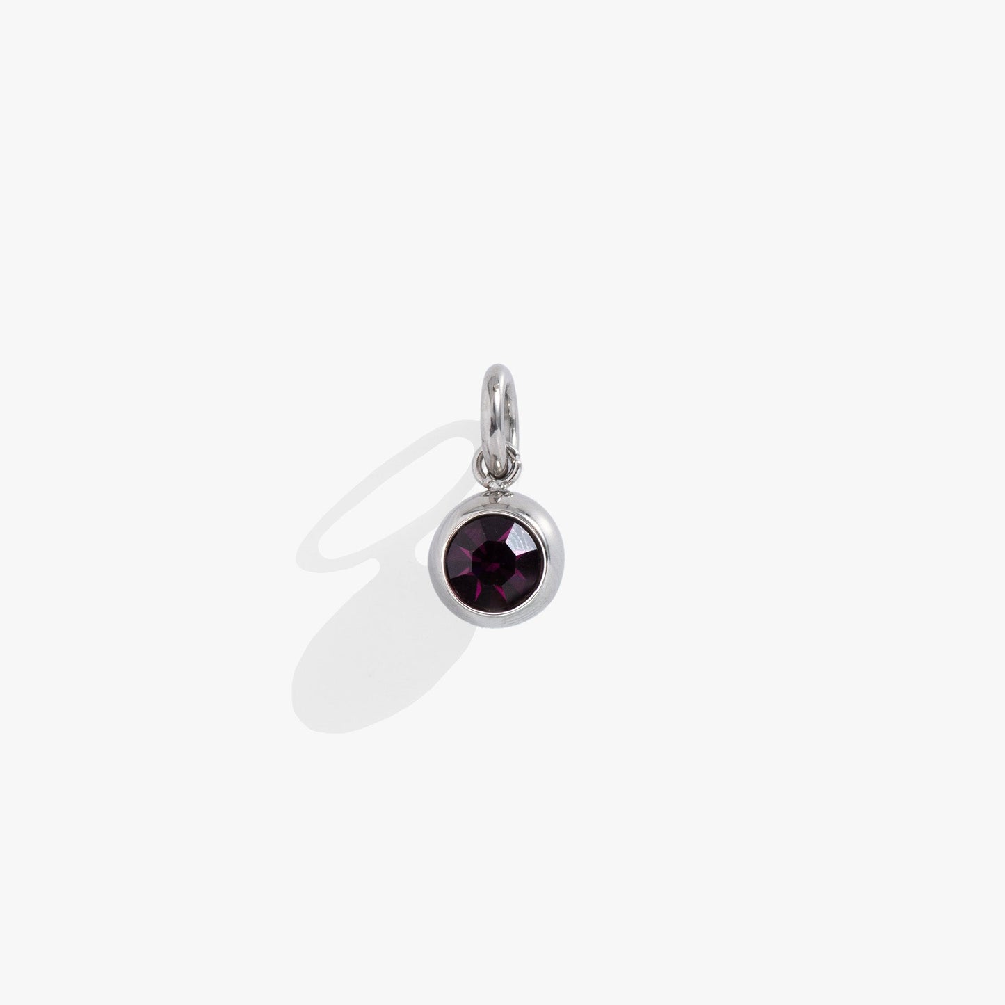 February Birthstone Interchangeable Charm