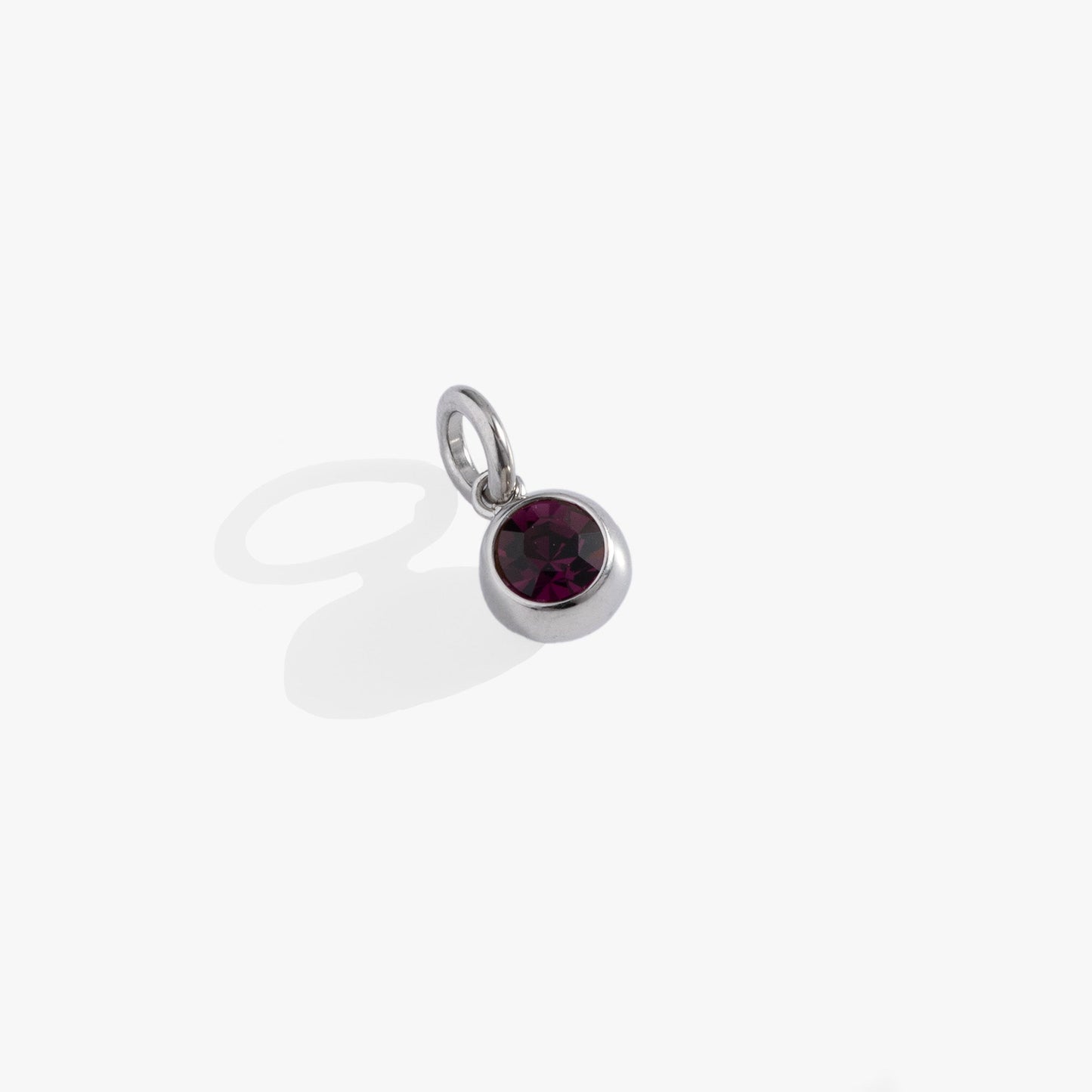 February Birthstone Interchangeable Charm