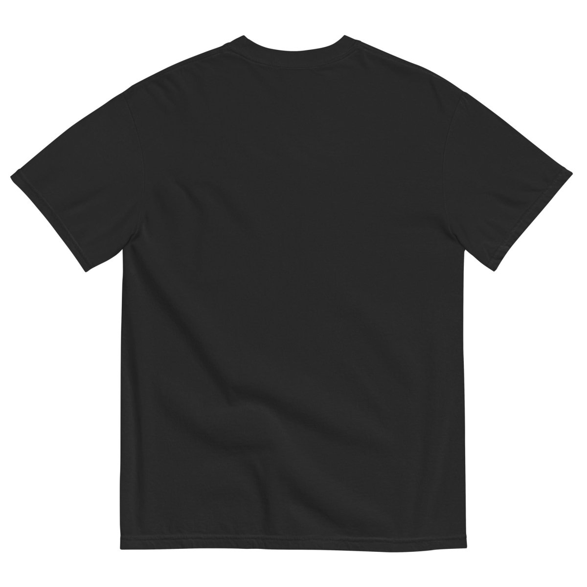 No Kings No Tyrants Black Tshirt Hoodie, Sweatshirt | WearSparks.com (Image 2)