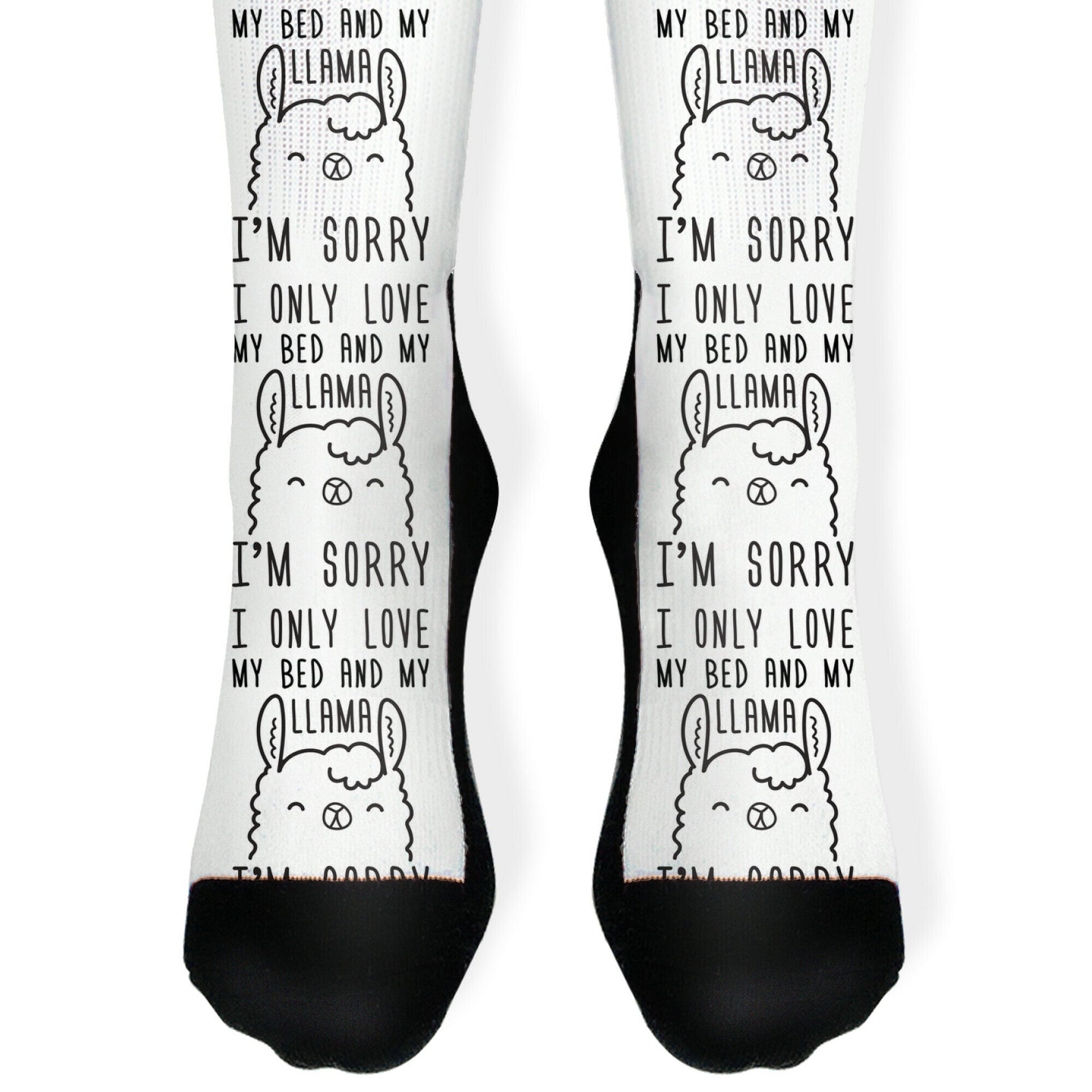 I Only Love My Bed And My Llama, I'm Sorry Socks