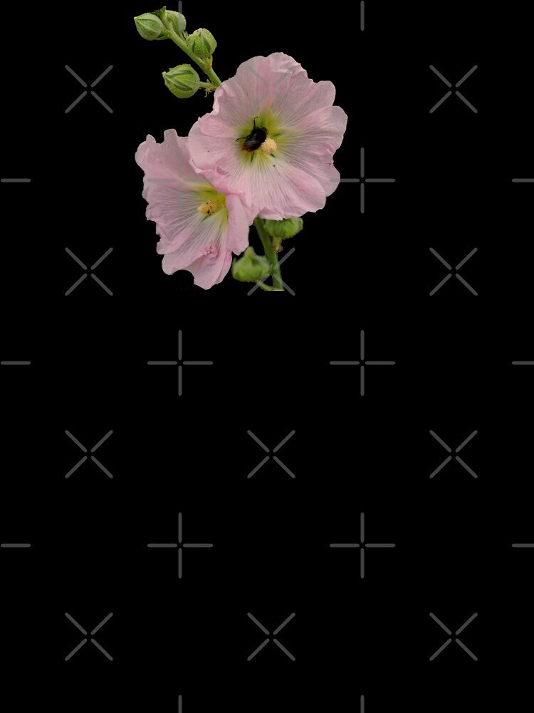 Hollyhock flower, nature photography by NatashaSokolova