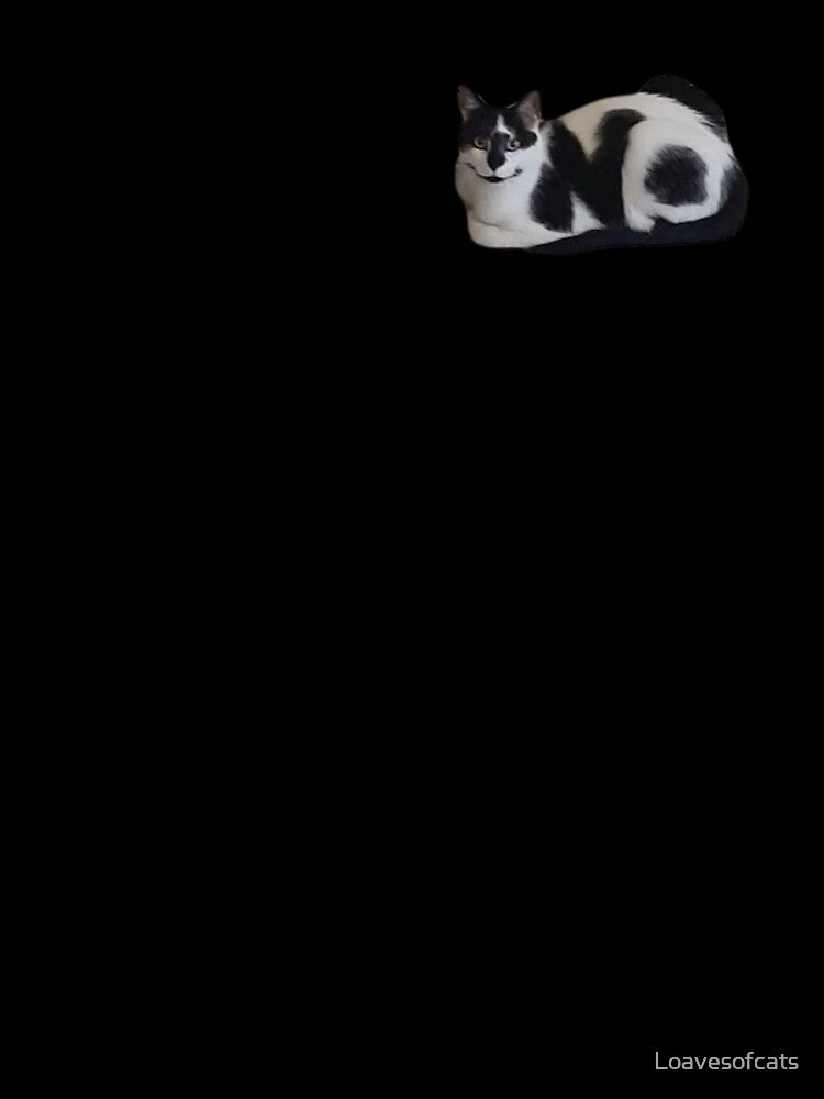 Mr No by Loavesofcats