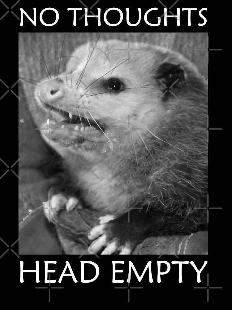 No thoughts head empty possum by BattleGoat