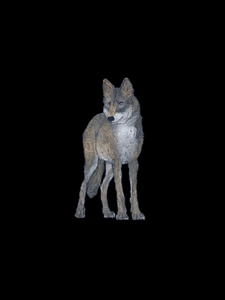 Wolf by Paytowin