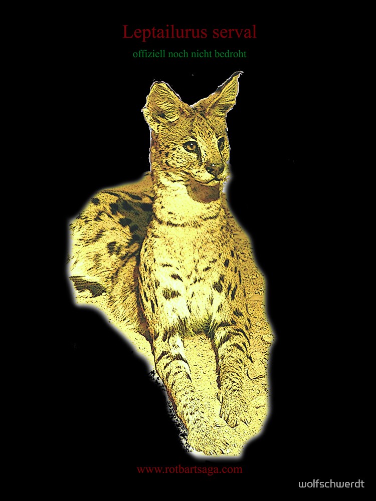Rotbart's wild relatives - Serval by wolfschwerdt