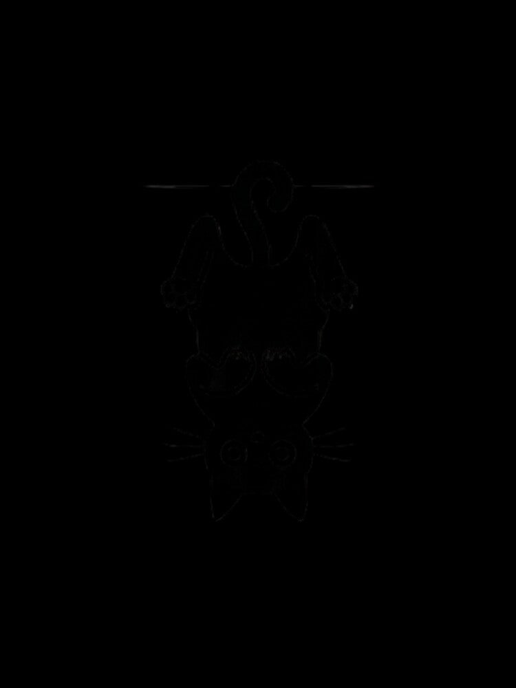 Funny Black Cat Poses & Silhouettes - Void Cat by Outlaw Ink