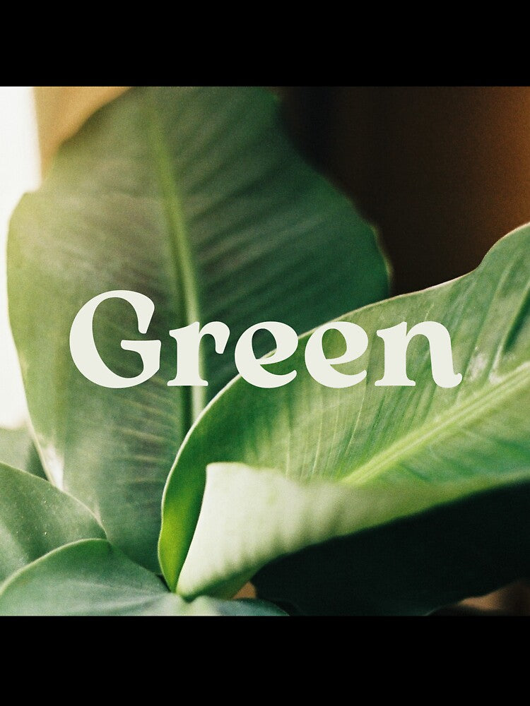 Banana Plant Green by Leaf & Layer