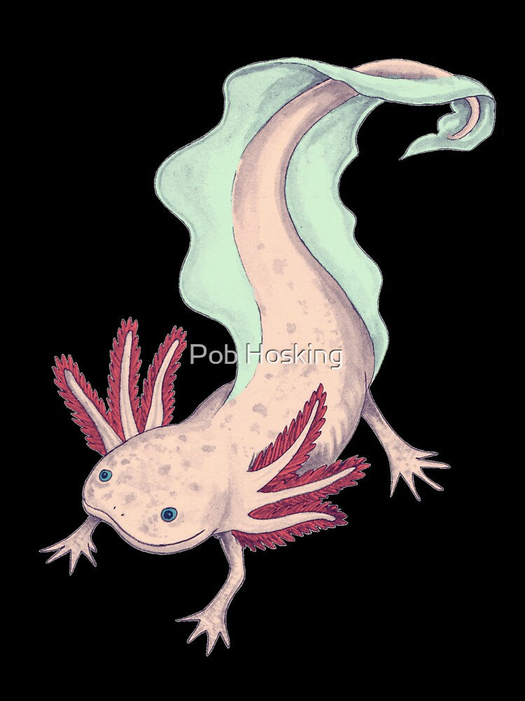 Cute Pink Axolotl by Pob Hosking