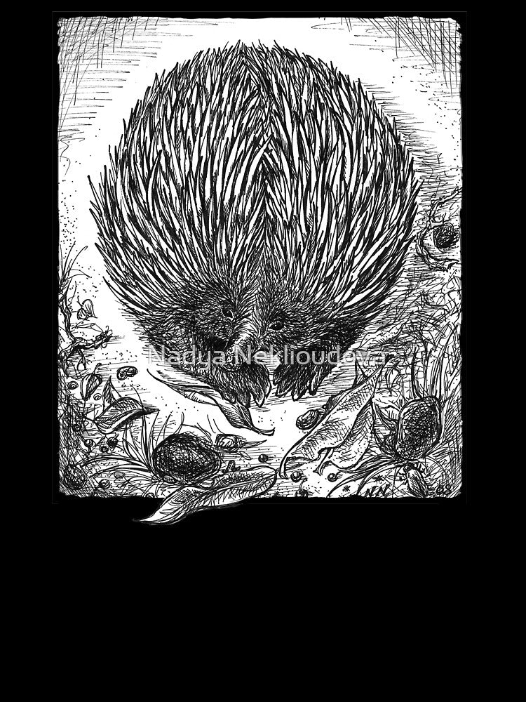 Echidna Ink Drawing by Nadya Neklioudova by Nadya Neklioudova