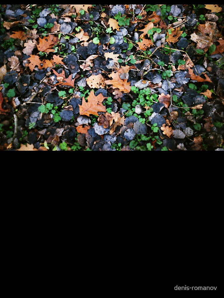 Blue Leaves by denis-romanov