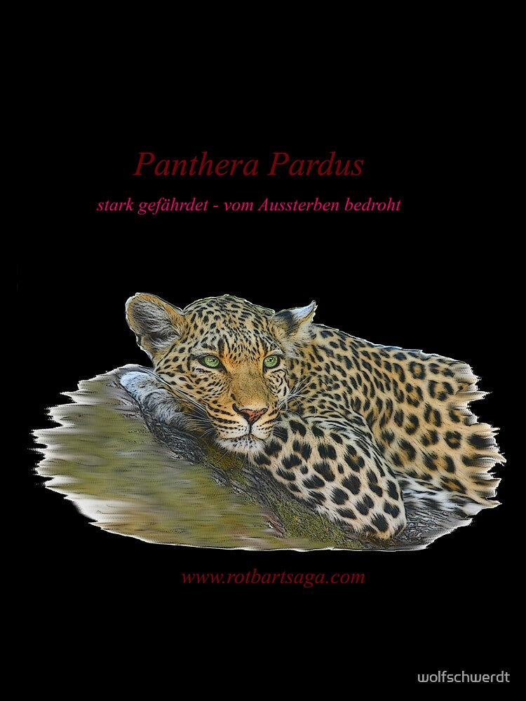 Rotbart's wild relatives - leopard by wolfschwerdt