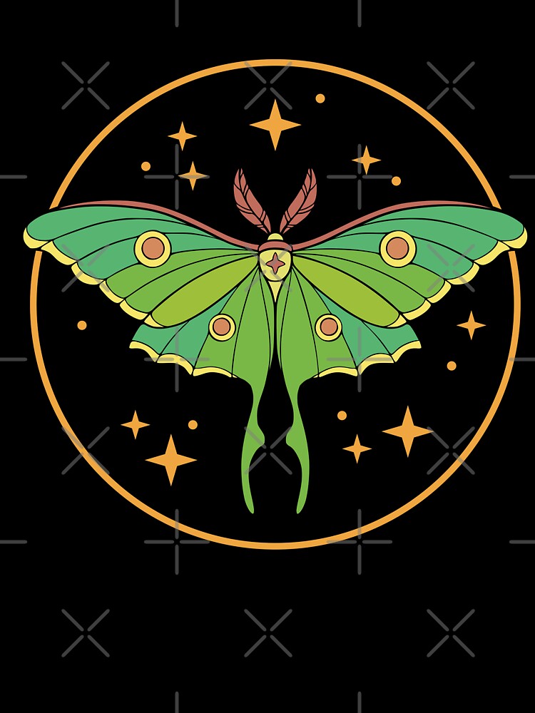Luna Moth by Erika Vaigel Illustrations