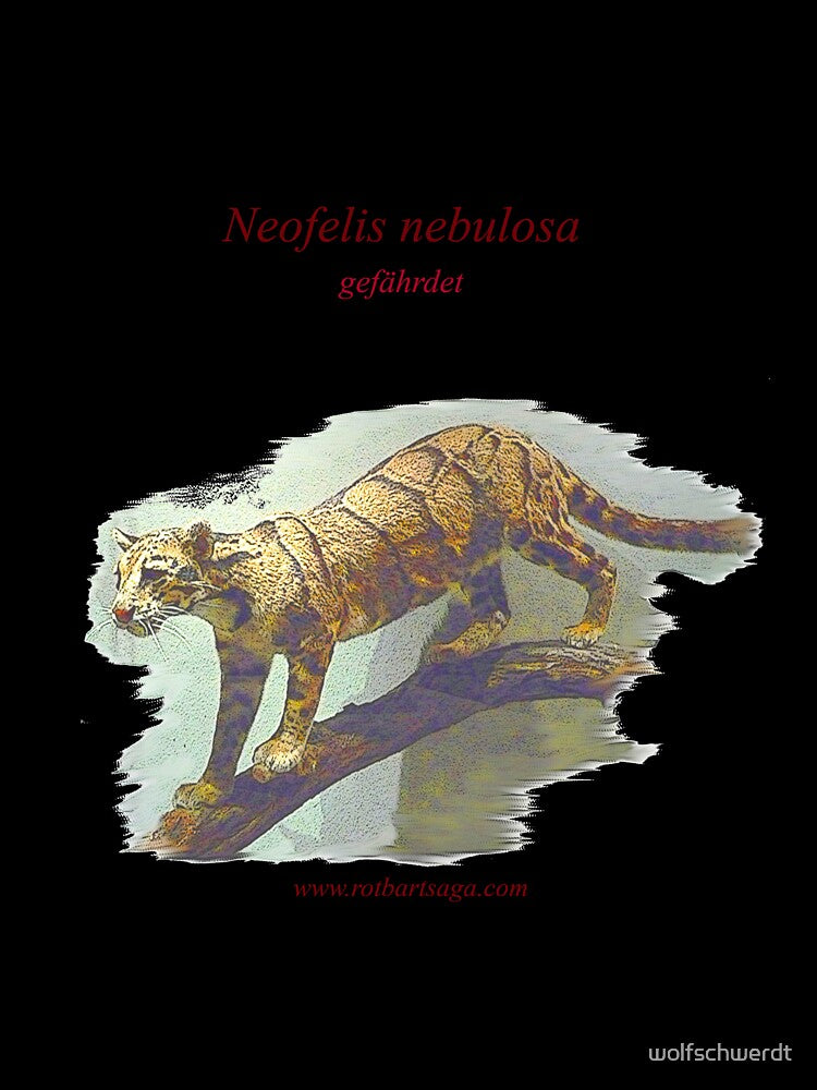 Rotbart's wild relatives - clouded leopard by wolfschwerdt