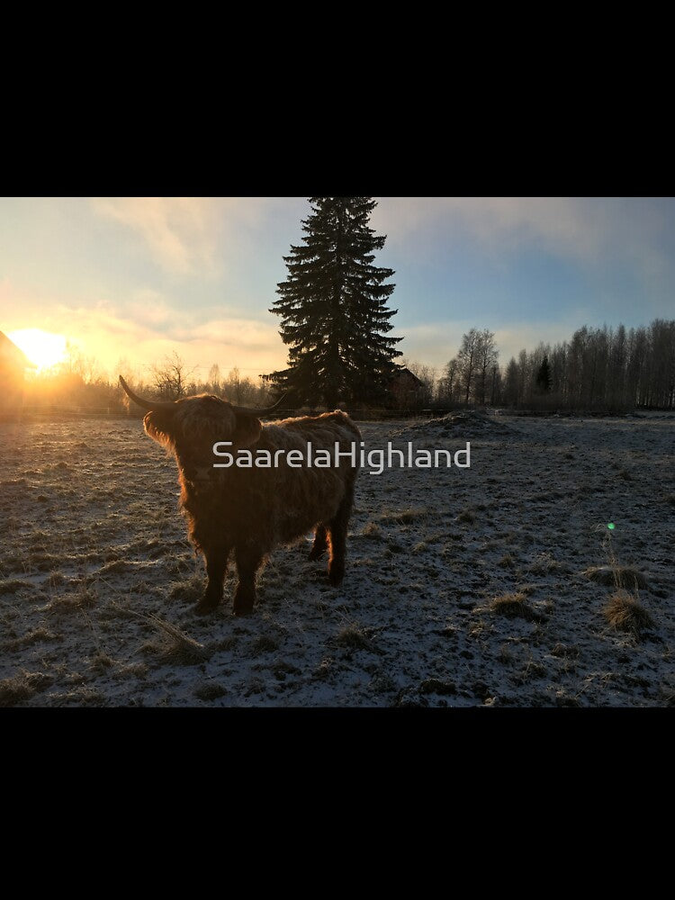 Scottish Highland Cattle Cow 1013 by SaarelaHighland