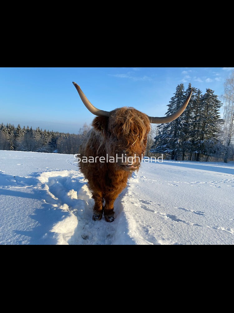 Scottish Highland Cattle Cow 3199 by SaarelaHighland