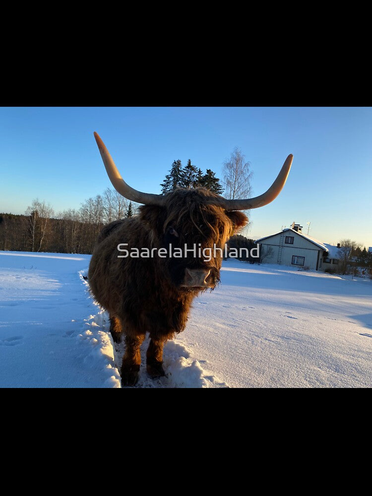 Scottish Highland Cattle Cow 3188 by SaarelaHighland