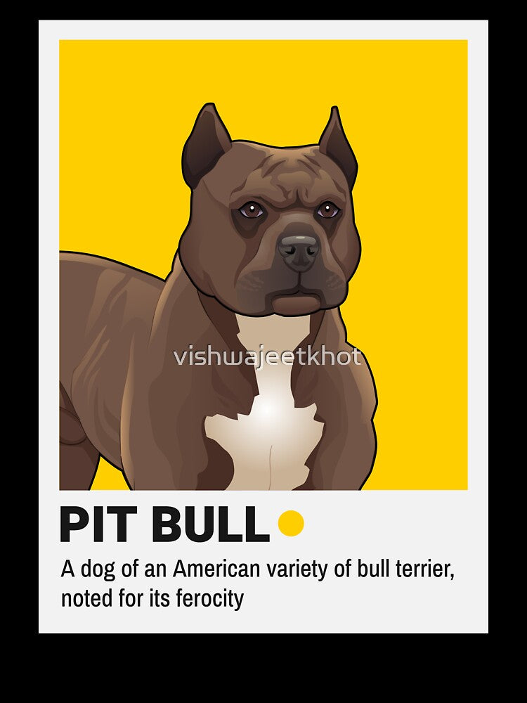 PIT BULL by vishwajeetkhot