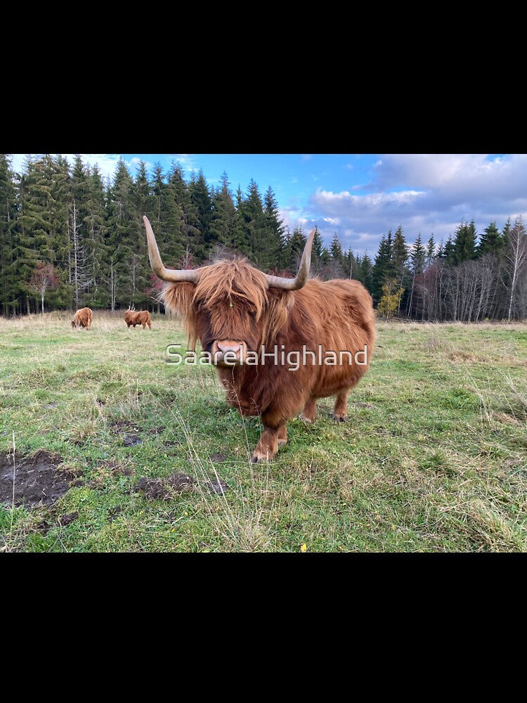Scottish Highland Cattle Cow 3027 by SaarelaHighland