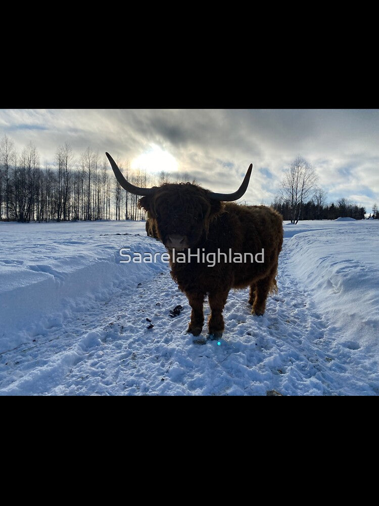 Scottish Highland Cattle Cow 3244 by SaarelaHighland