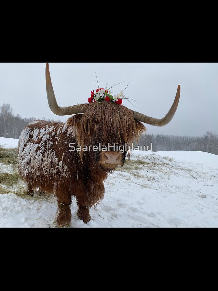 Scottish Highland Cattle Cow 3212 by SaarelaHighland