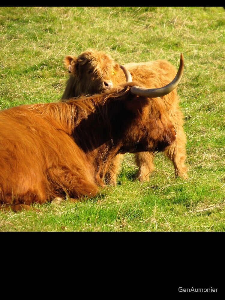Highland Coo and Calf II - Photograph by GenAumonier