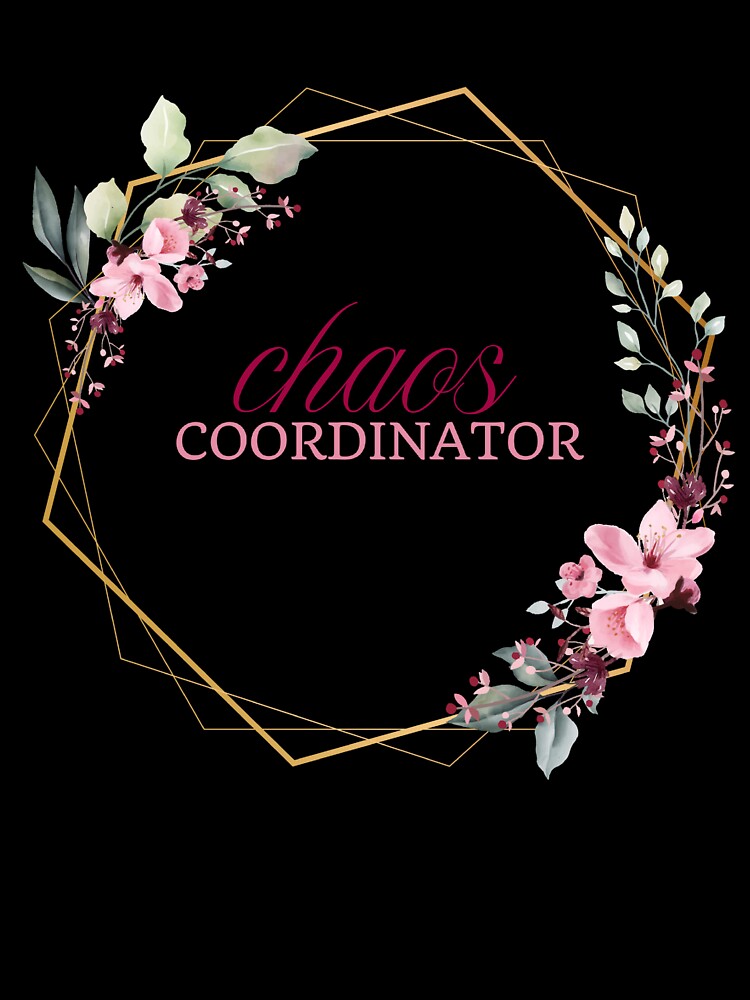 chaos coordinator by Andyart12345