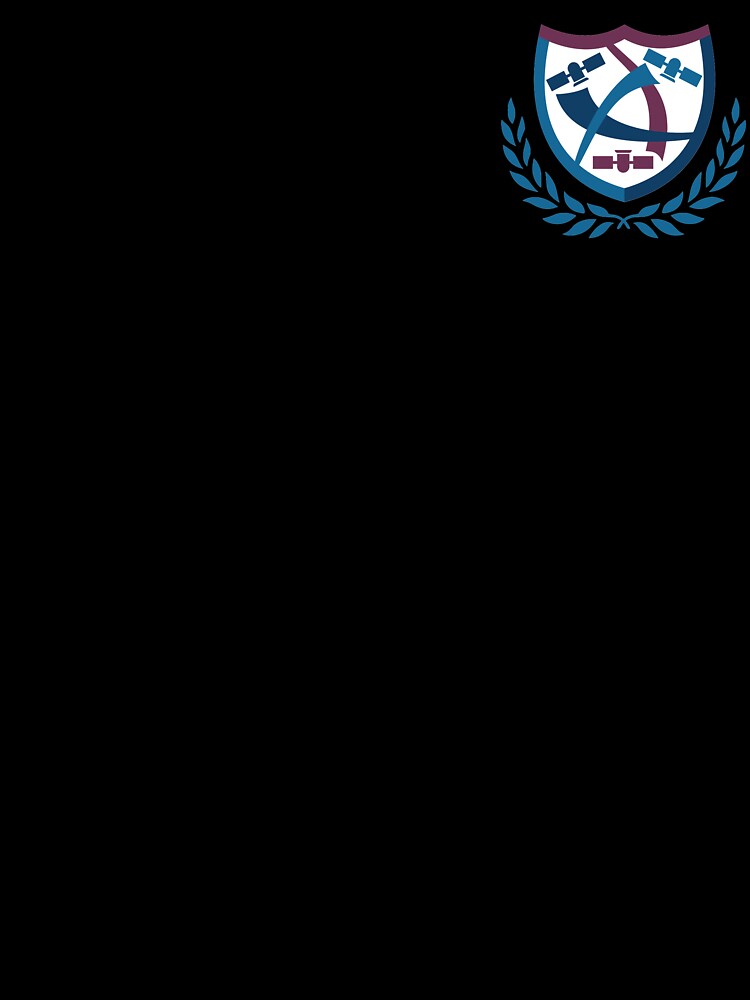Space Safety and Sustainability Project Group by Daniel Sybold