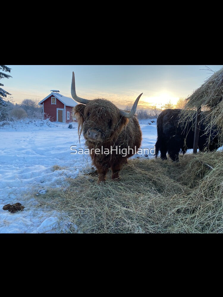Scottish Highland Cattle Cow 3140 by SaarelaHighland