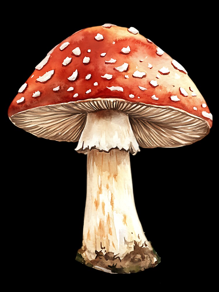 Fairycore Aesthetic: Magical Mushroom by bapupa