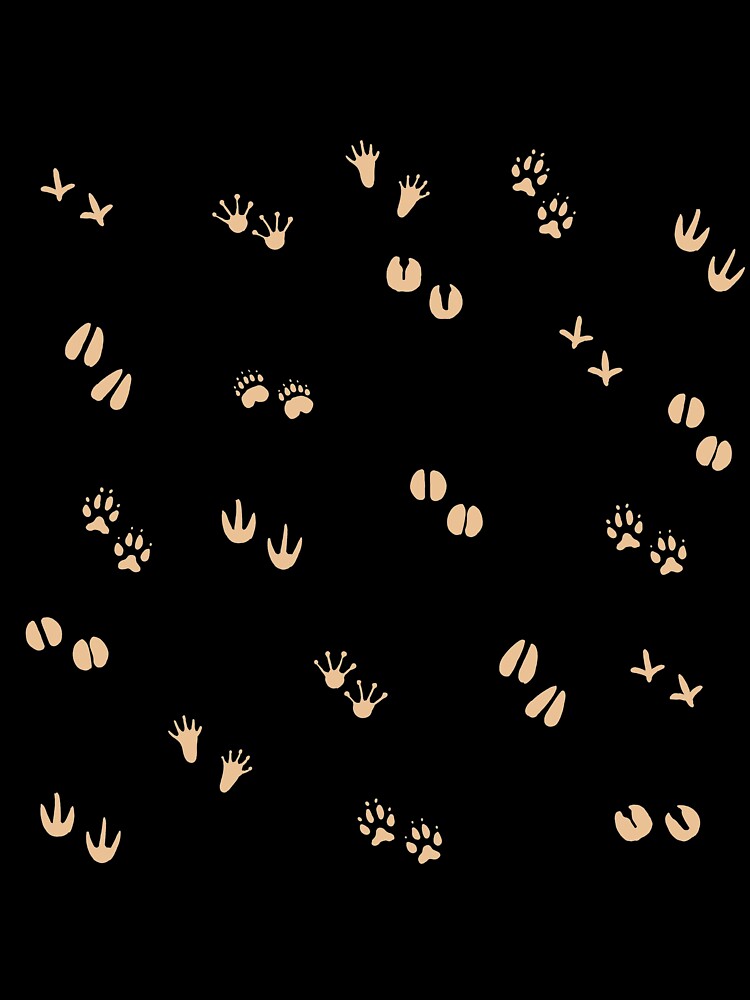 paw print light by meiyorrr