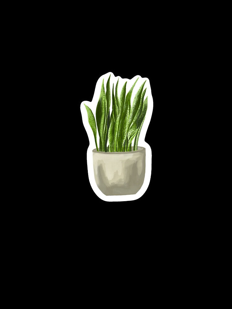 Sansevieria by WoohooArt7
