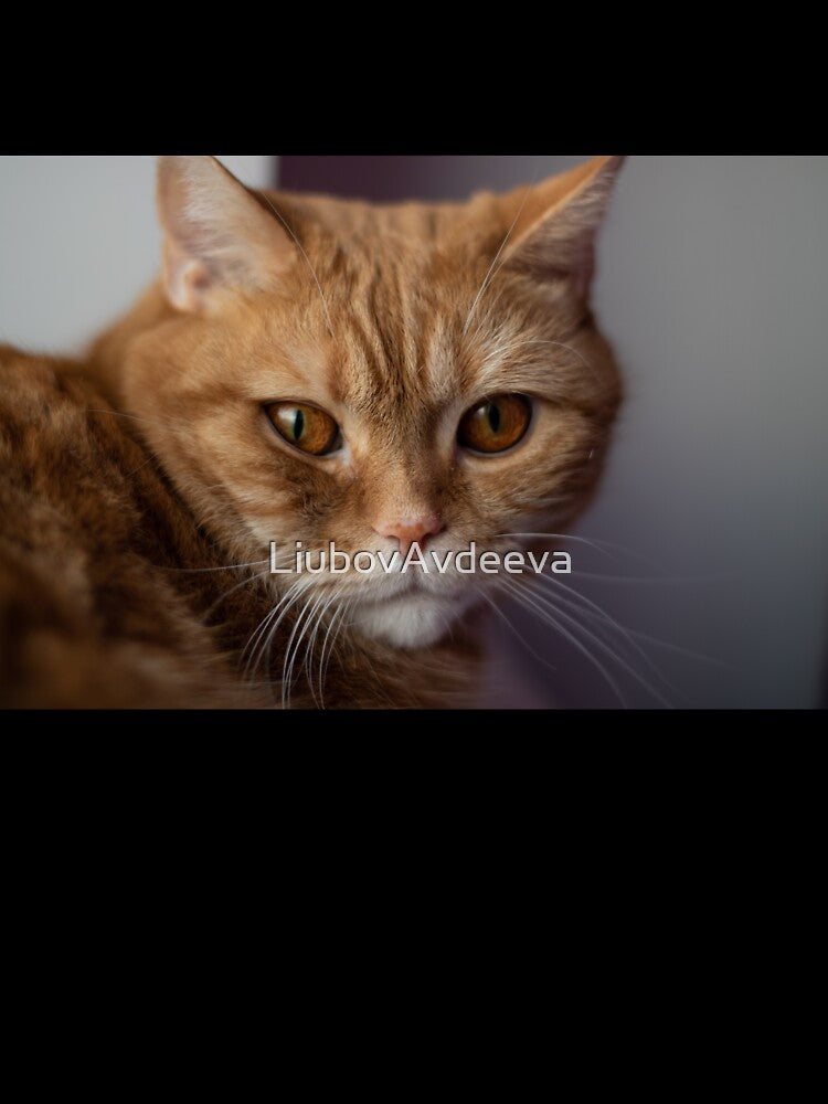 Cute ginger cat by LiubovAvdeeva