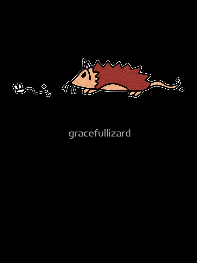 Cat-Hog Chasing A Mouse by gracefullizard