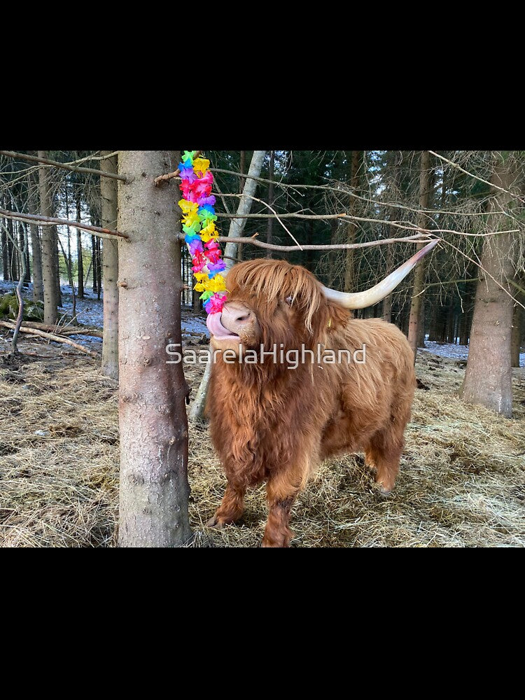 Scottish Highland Cattle Cow 3296 by SaarelaHighland