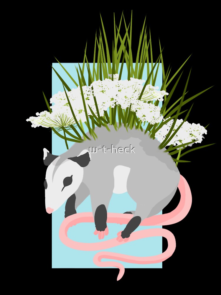 Wild Carrot King by w-t-heck