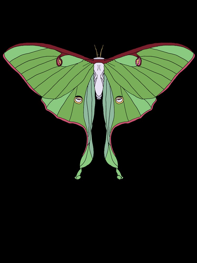 Dreamlight Luna Moth – Spirit of the Night by okayamberart