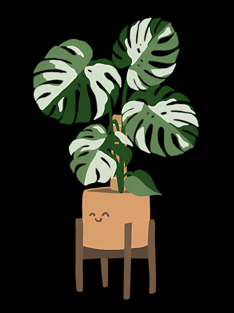 Monstera Albo Potted Plant by yjgiivkkihp20