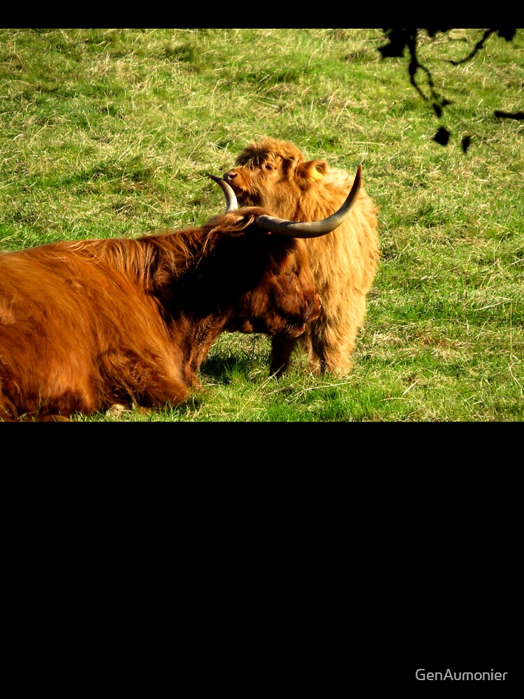 Highland Coo and Calf I - Photograph by GenAumonier