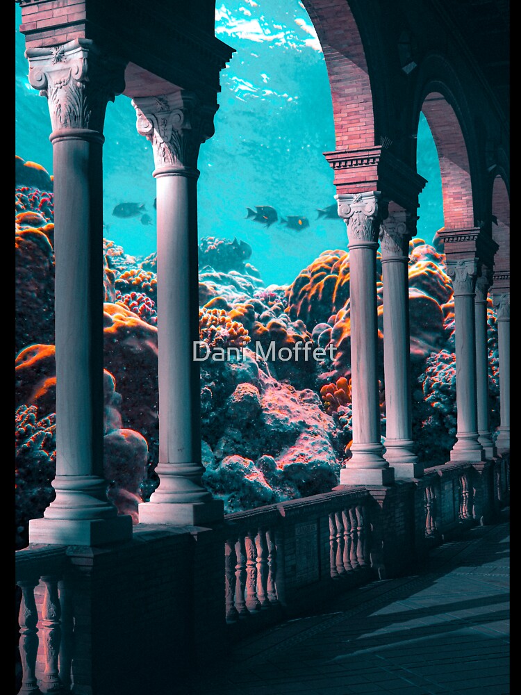 Coral Reef View by Dani Moffet